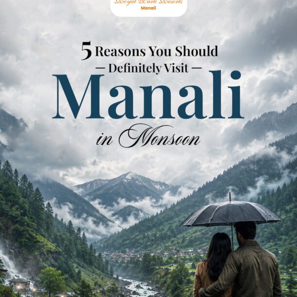 best hotel in manali